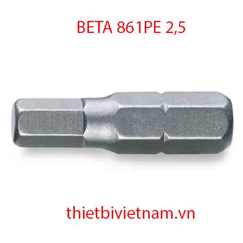 Bộ 10 chiếc HEXAGON BITS FOR POWER DRIVERS BETA MODEL 861PE 2,5
