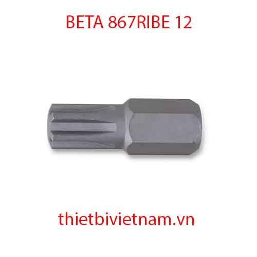 Bộ 5 chiếc BITS FOR RIBE® SCREWS BETA MODEL 867RIBE 12