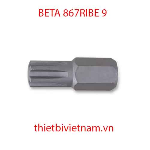 Bộ 5 chiếc BITS FOR RIBE® SCREWS BETA MODEL 867RIBE 9