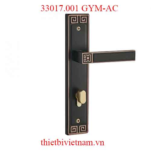 Khóa cửa VICKINI 33017.001 GYM-AC dài 260