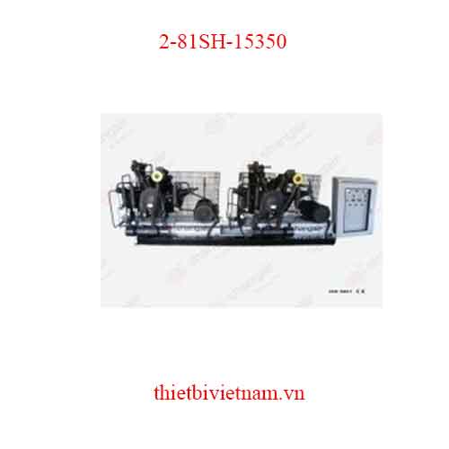 Máy nén khí Piston 2-81SH-15350