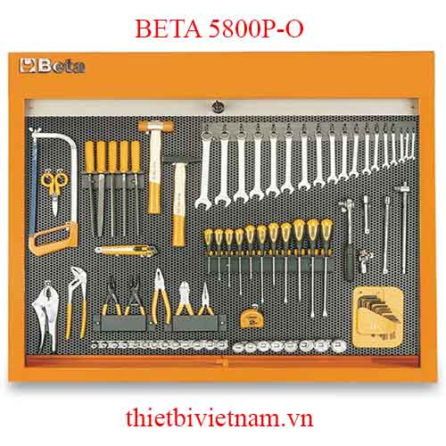 O-PANEL C58 P/O + 86 PCS BETA MODEL 5800P-O